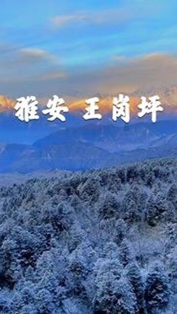 跳跃的立方体